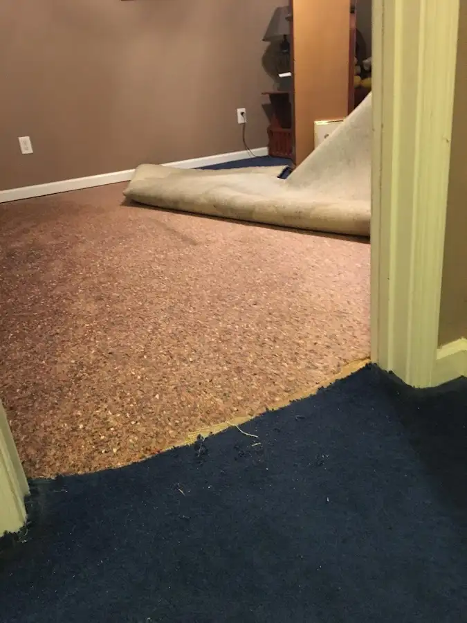 Carpet pad removal revealing water damage during Drying & Dehumidification in Boynton Beach