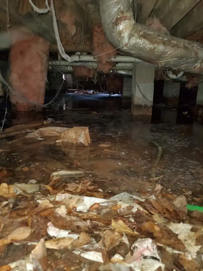Crawl space flood assessment for Leak Detection & Repair in Boynton Beach